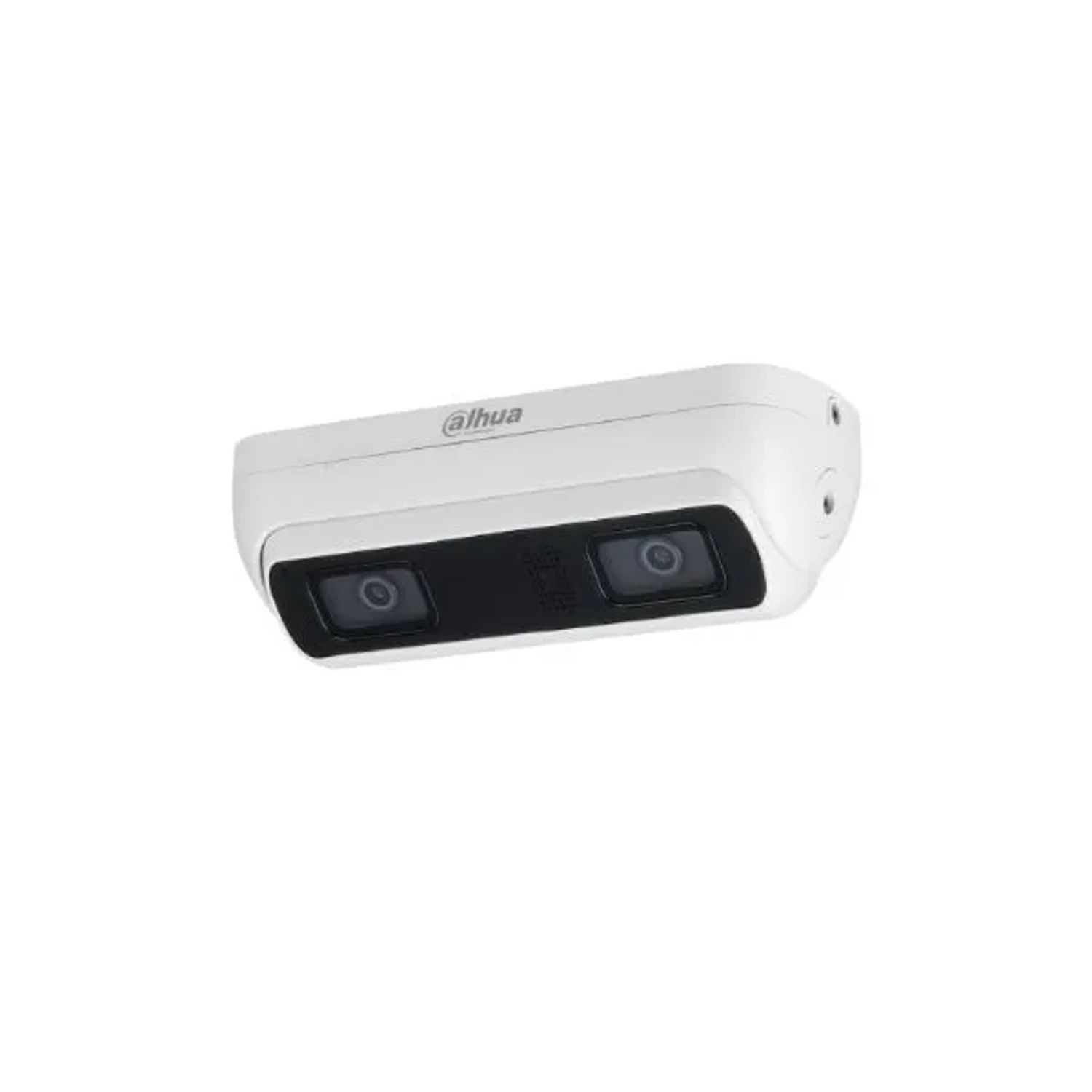 Camara IP de Conteo Personas 4mp Wizmind — foto 1