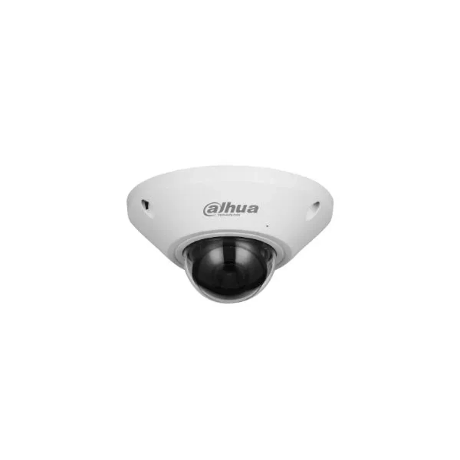 Camara IP Ojo de Pez 5mp Wizmind — foto 1