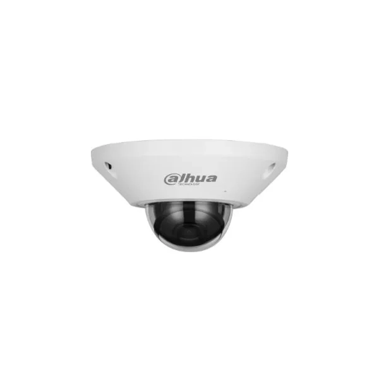 Camara IP Ojo de Pez 5mp Wizmind — foto 2