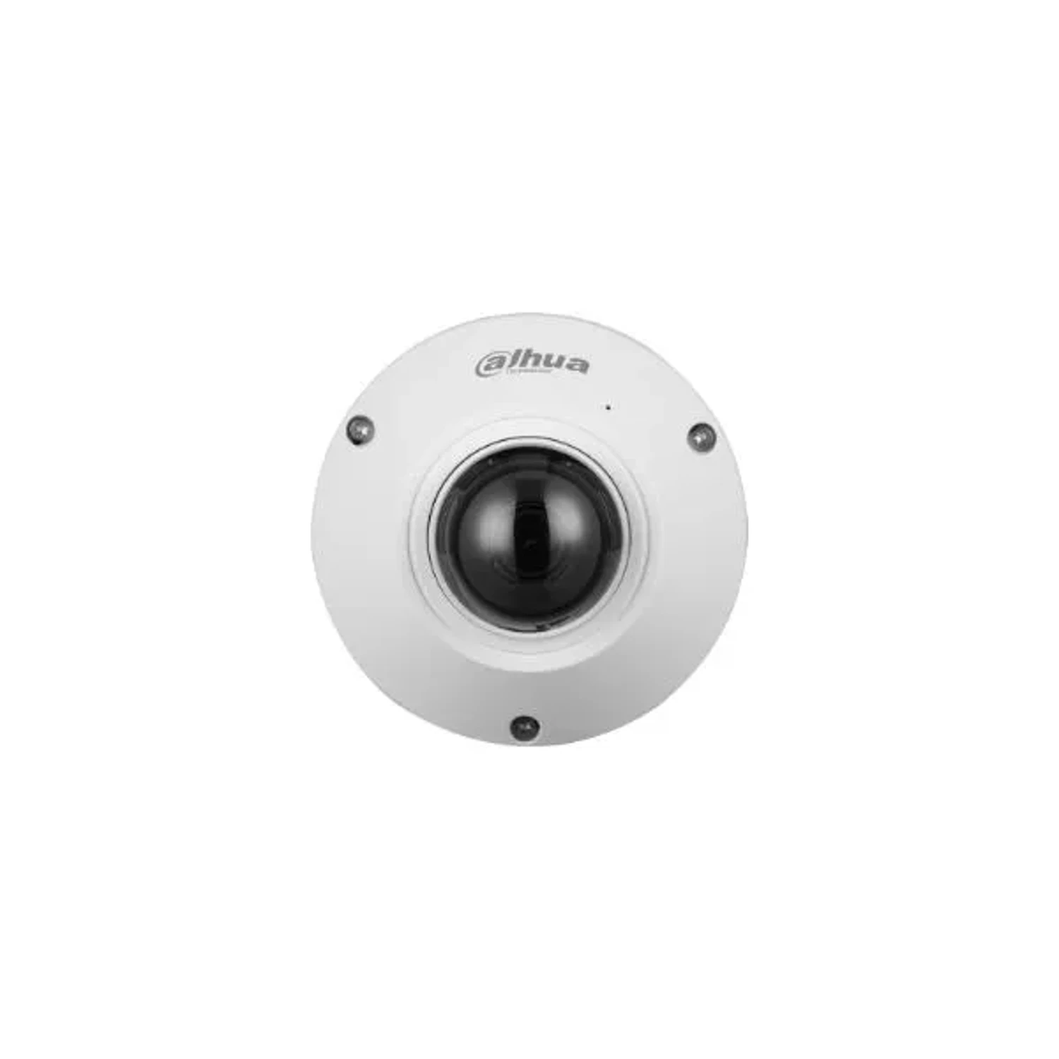 Camara IP Ojo de Pez 5mp Wizmind — foto 3