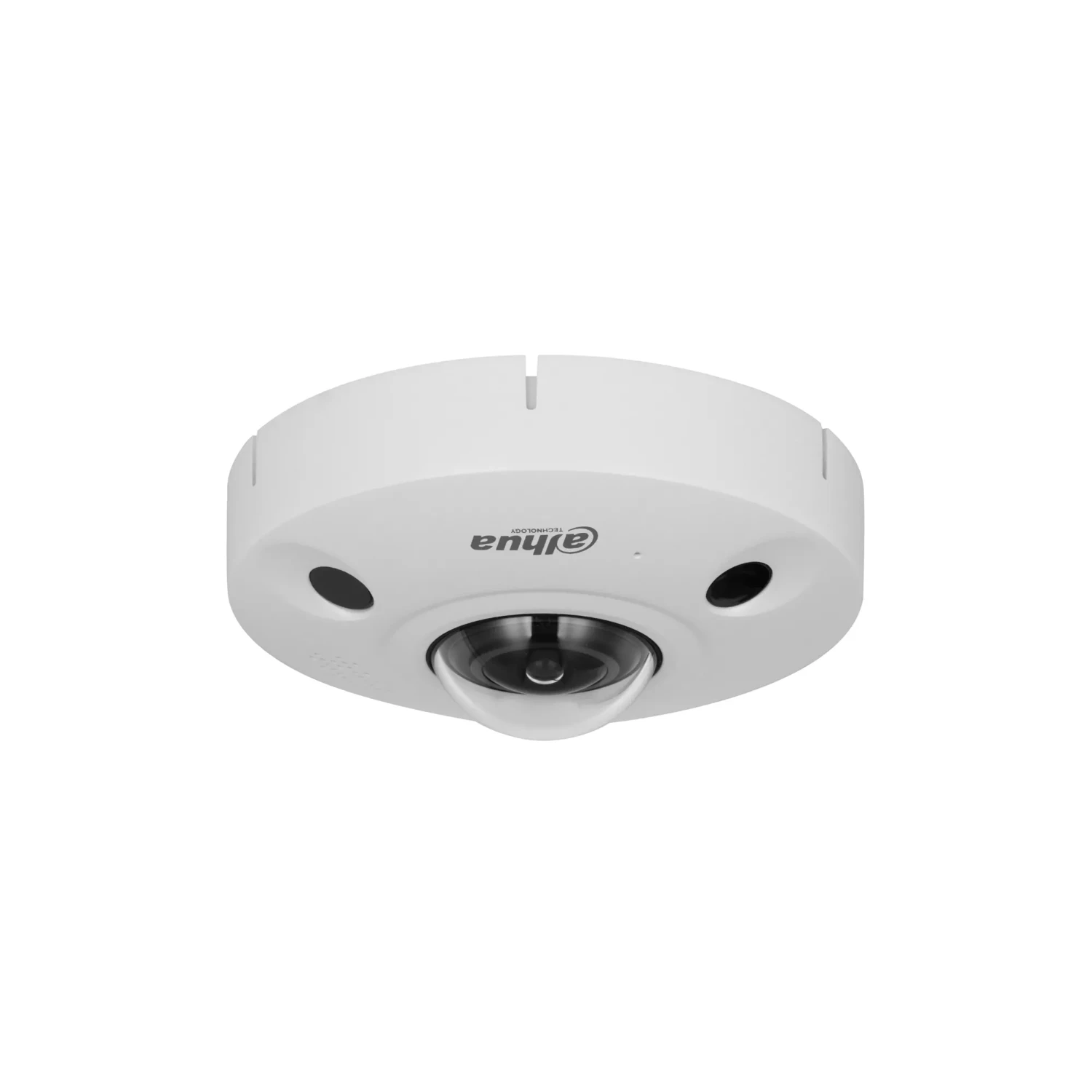 Camara IP Ojo de Pez 8mp Wizmind — foto 1