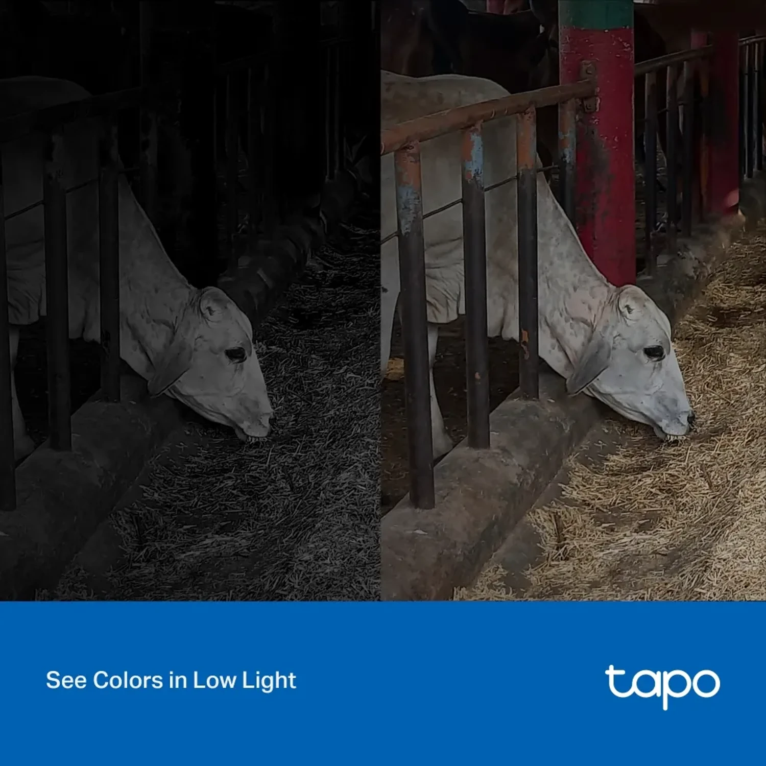 Camara WIFI Outdoor Tapo C320ws 3 MP — foto 5