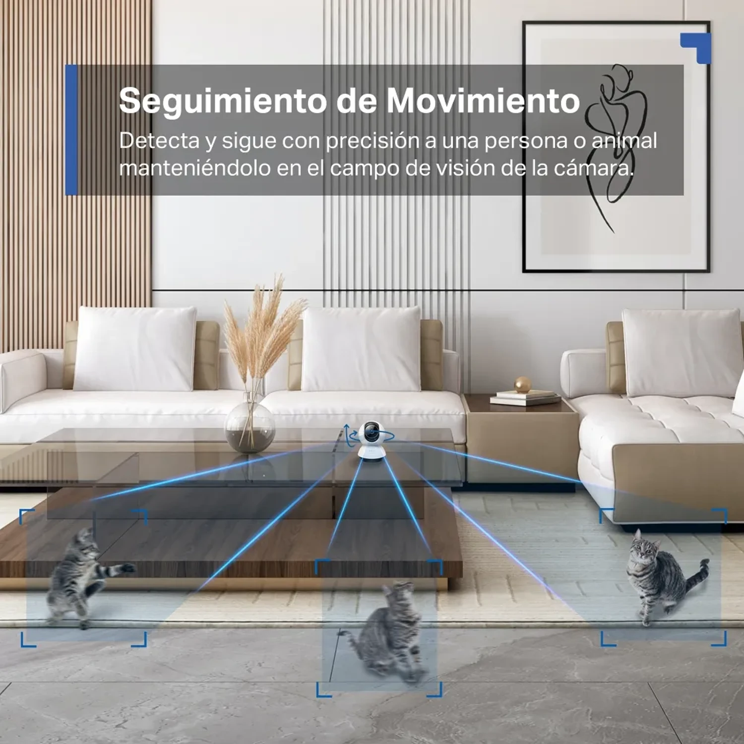 Camara WIFI Tapo C220 2K QHD 4mp (2560x — foto 3