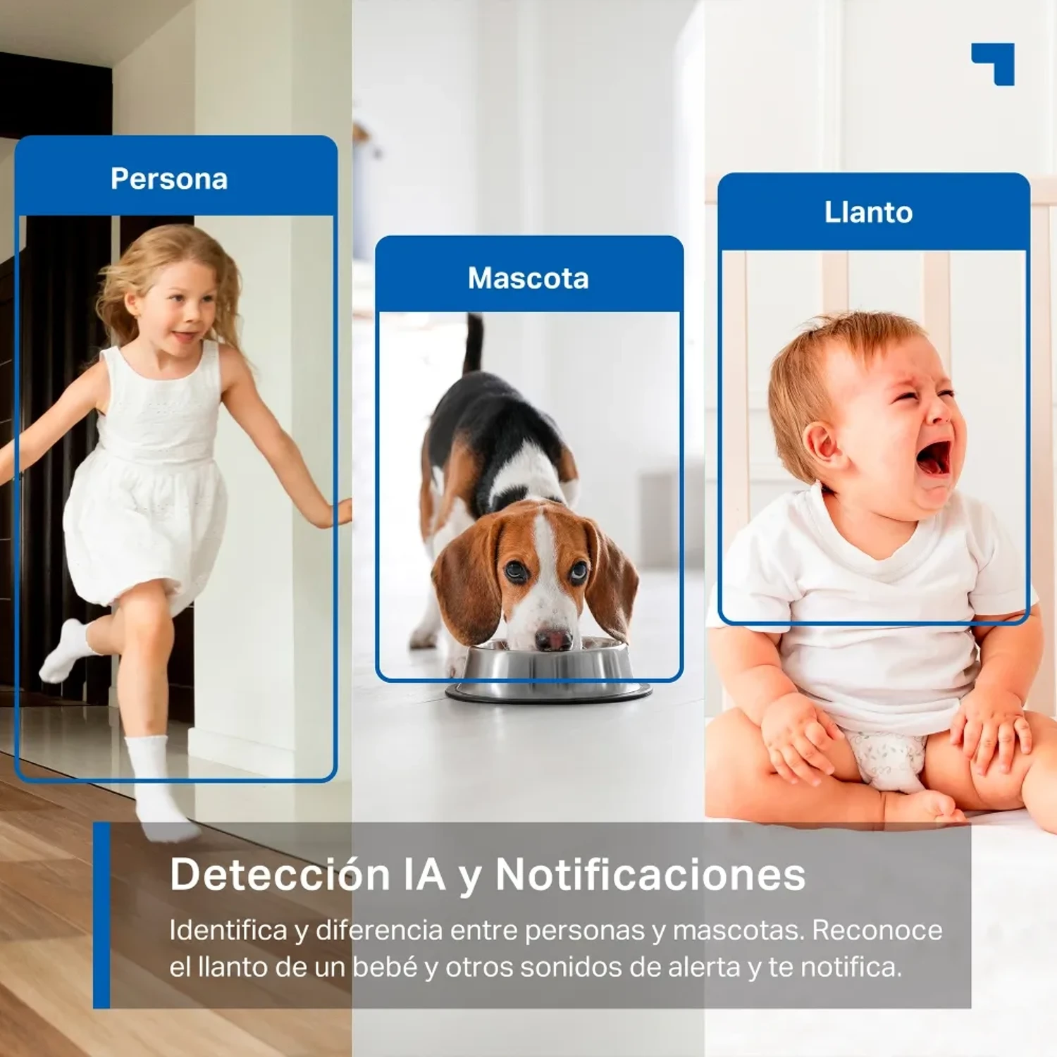 Camara WIFI Tapo C220 2K QHD 4mp (2560x — foto 7