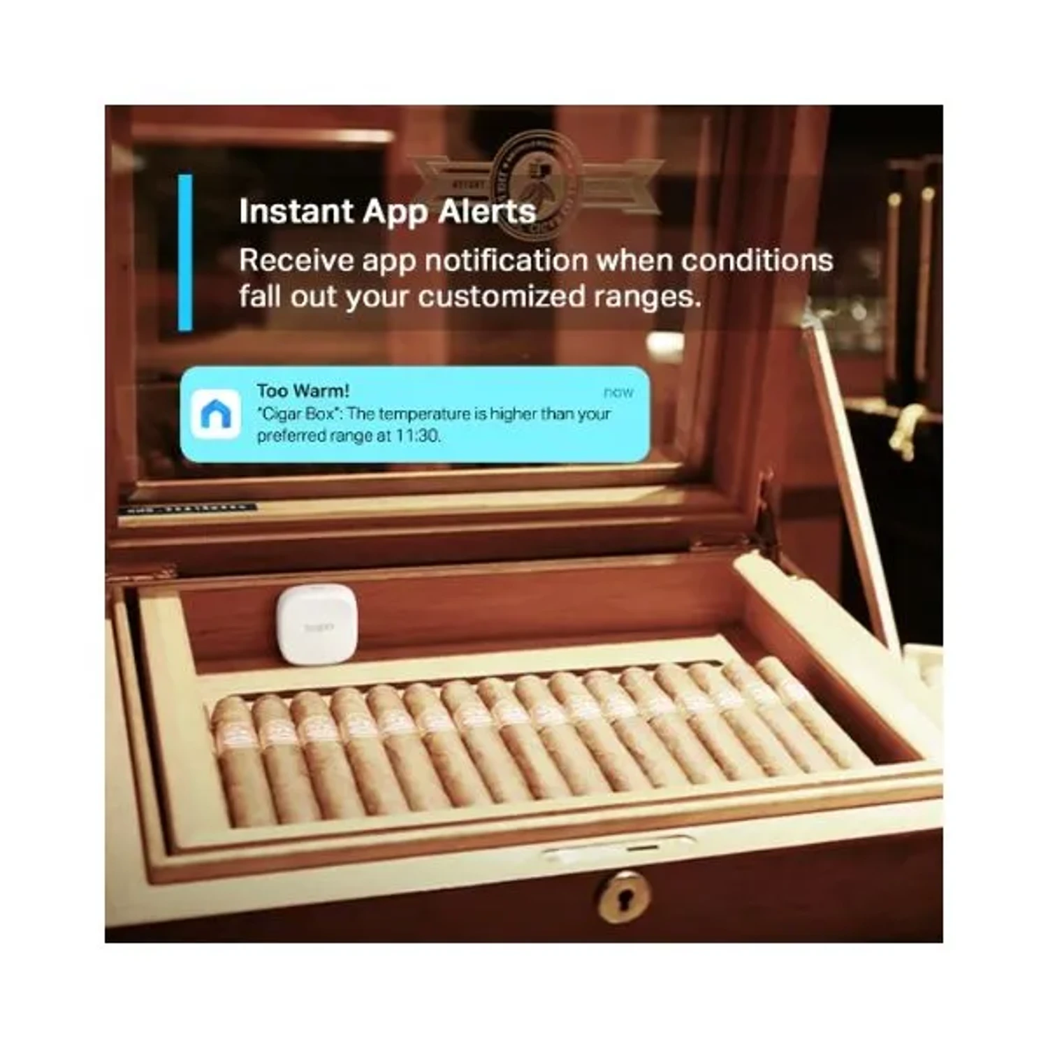 Sensor Inteligente de Temperatura y Hume — foto 4