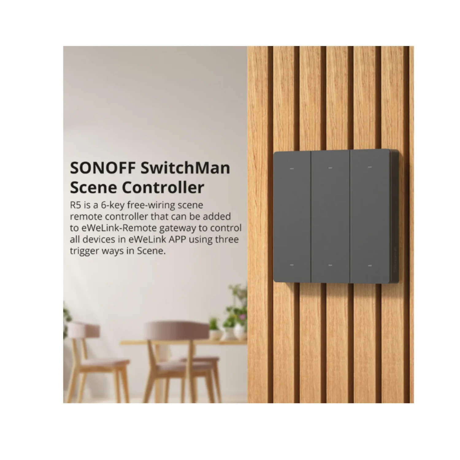 Controlador de Escenas Switchman R5w — foto 3